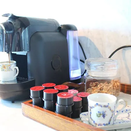 Homestay Canas In Lisbon